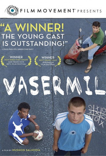 Vasermil poster