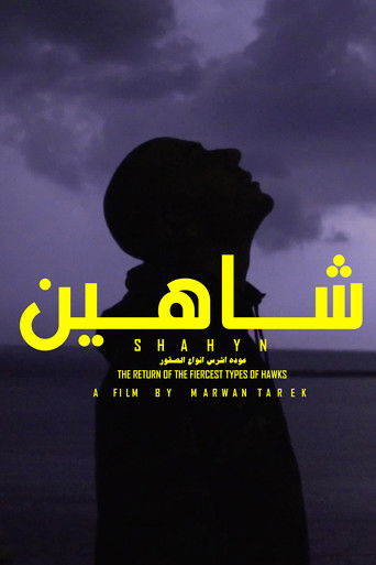 SHAHYN - THE RETURN OF THE FIERCEST TYPES OF HAWKS poster