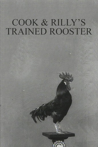 Movie poster for Cook & Rilly's Trained Rooster (1910)