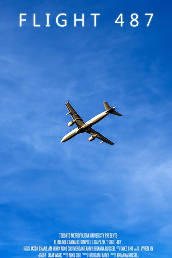 Movie poster for Flight 487