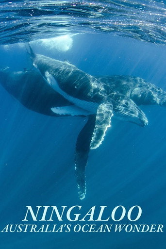 Series poster for Ningaloo Nyinggulu (2023)