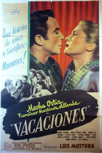 Vacaciones poster
