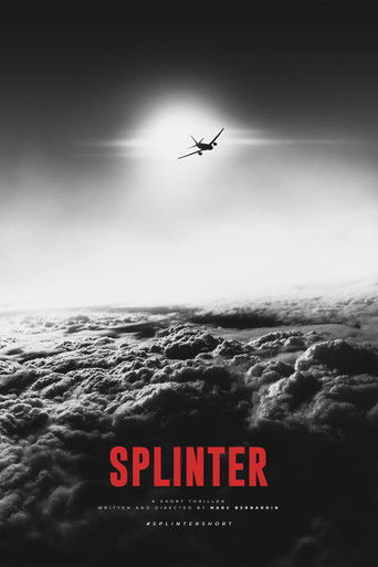 Splinter poster