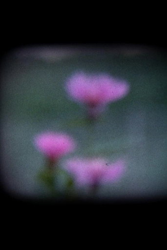 Movie poster for I Fiori Blu (2019)