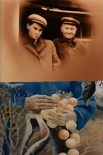 Movie poster for In the White Cold, the Sun of Ukraine (1992)