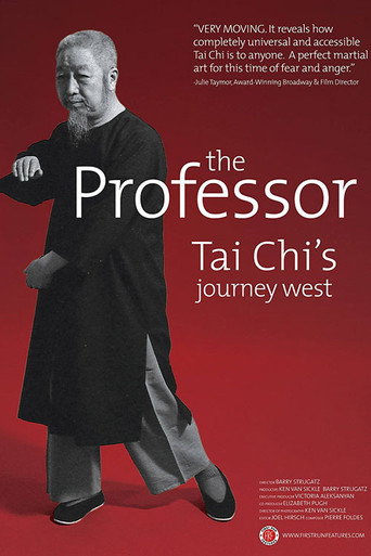 Movie poster for The Professor: Tai Chi's Journey West (2016)