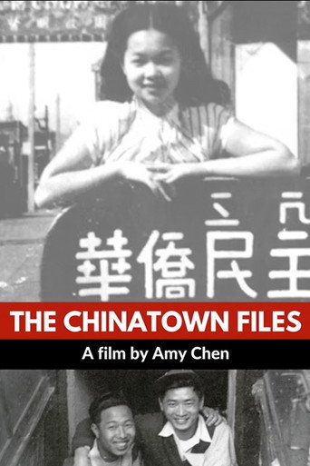 Movie poster for The Chinatown Files (2001)