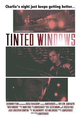 Movie poster for Tinted Windows
