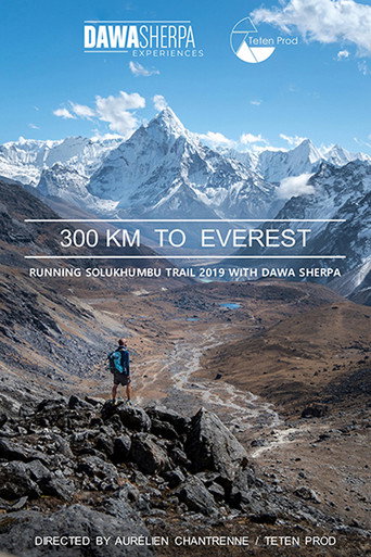 Movie poster for 300 KM TO EVEREST (2020)