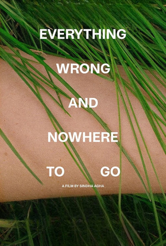 Movie poster for Everything Wrong and Nowhere to Go (2022)
