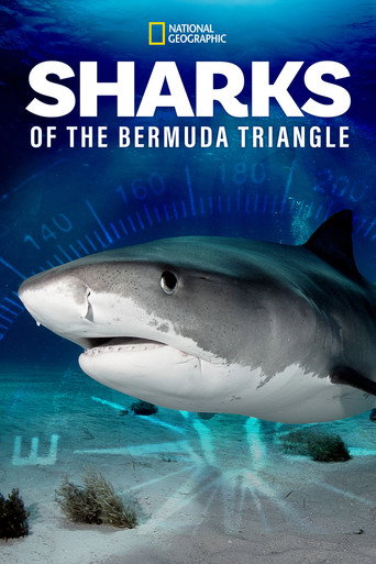 Movie poster for Sharks of the Bermuda Triangle (2020)