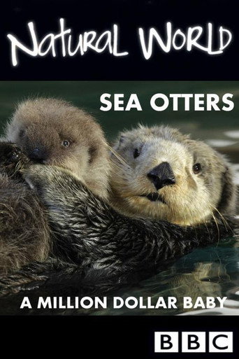 Movie poster for Sea Otters: A Million Dollar Baby (2010)