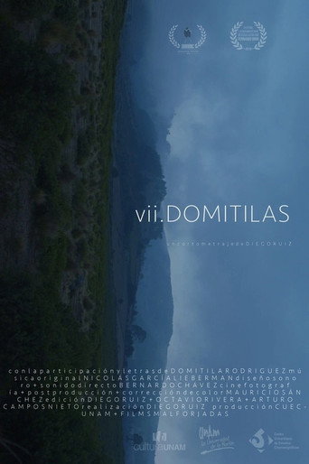 Movie poster for VII Domitilas (2020)
