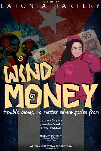 Movie poster for Wind Money (2013)