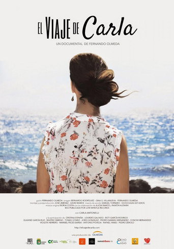 Movie poster for Carla's Journey (2014)