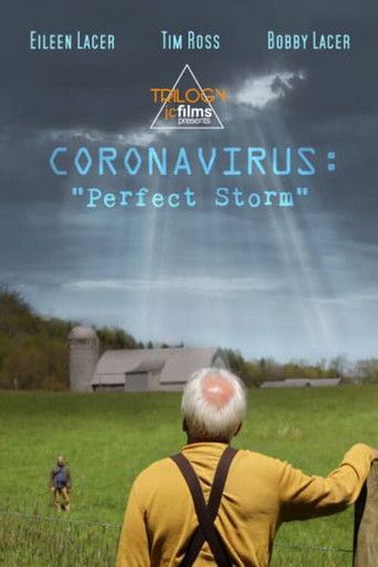 Coronavirus: Perfect Storm poster