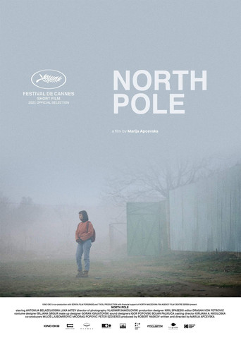 Movie poster for North Pole (2021)