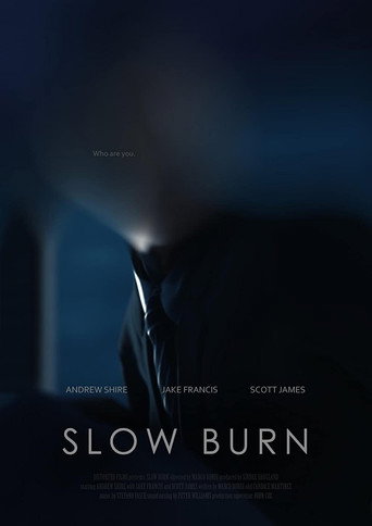 Movie poster for Slow Burn (2017)