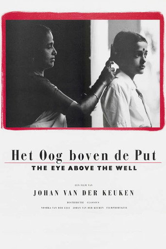 Movie poster for The Eye Above the Well (1988)