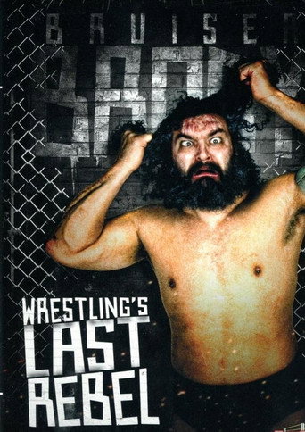 Movie poster for Wrestling's Last Rebel (2017)