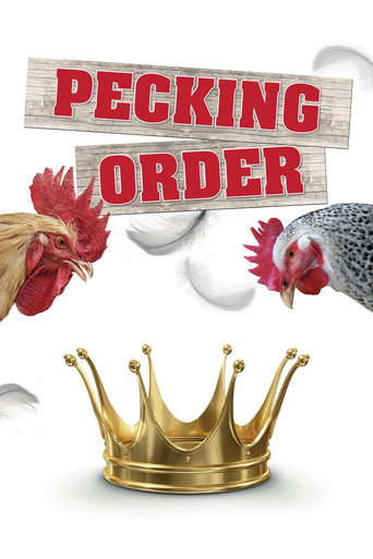 Movie poster for Pecking Order (2017)