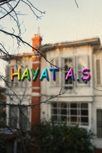 Series poster for Hayat A.Ş. (2003)