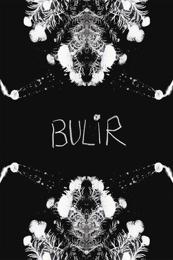 Movie poster for BULIR (2024)