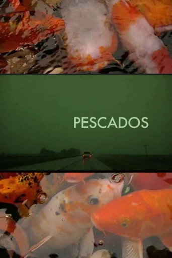 Movie poster for The Fish (2010)