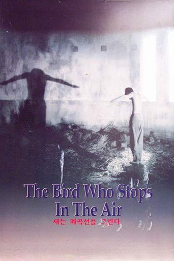The Bird Who Stops in the Air poster
