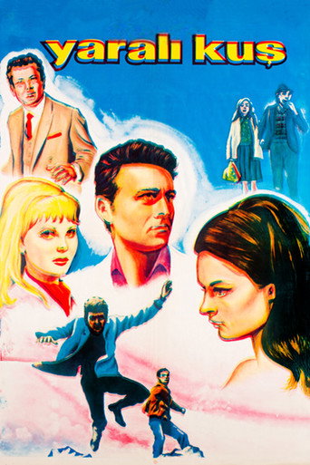 Movie poster for Yaralı Kuş (1967)