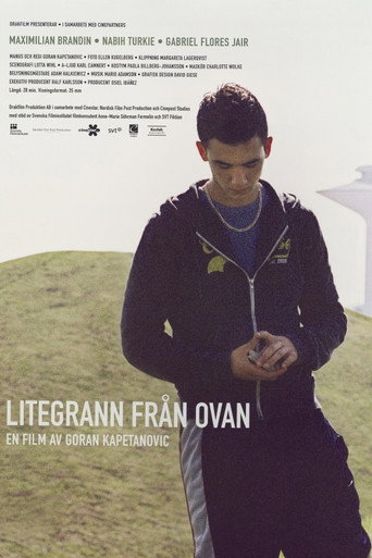 Movie poster for From Above (2007)