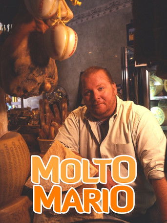 Molto Mario poster