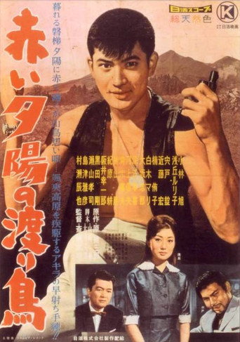 Movie poster for The Rambler in the Sunset (1960)