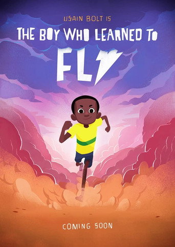 Movie poster for The Boy who Learned to Fly (2015)
