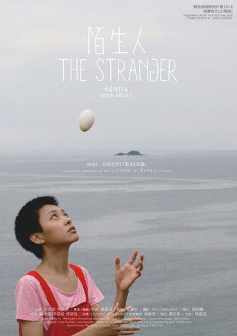 Movie poster for The Stranger (2014)