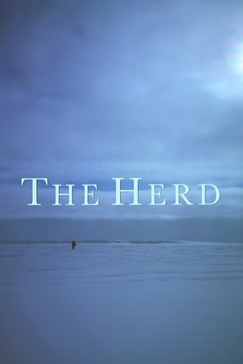 Movie poster for The Herd (1998)