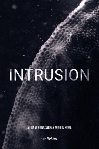 Movie poster for Intrusion (2021)
