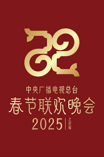 2025年中央广播电视总台春节联欢晚会 poster
