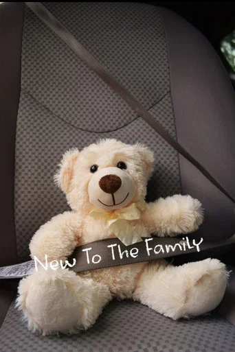 Movie poster for New To The Family (2023)