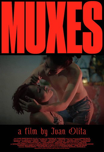 Movie poster for Muxes (2016)