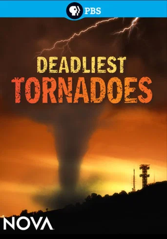 Movie poster for Deadliest Tornadoes (2012)