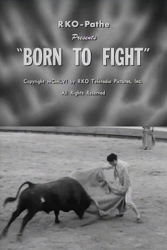 Movie poster for Born to Fight (1956)