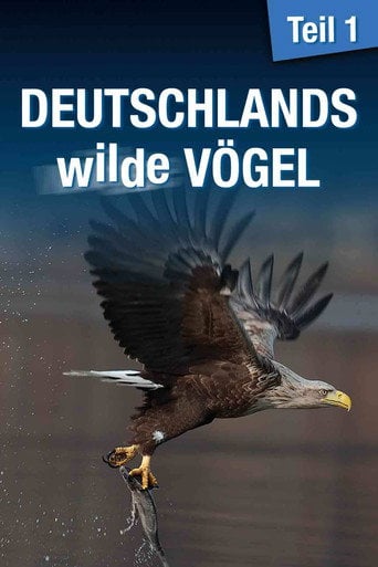 Movie poster for Deutschlands wilde Vögel (2013)