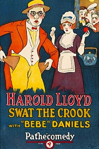 Movie poster for Swat the Crook (1919)