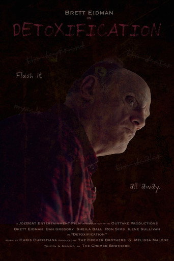 Movie poster for Detoxification (2024)