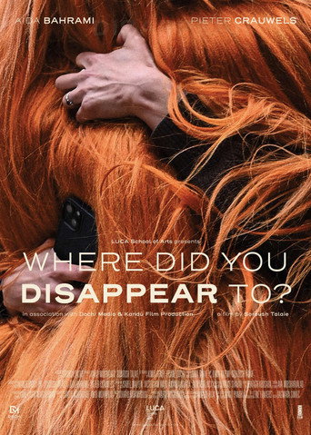 Movie poster for Where Did You Disappear to?