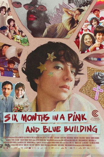 Movie poster for Six Months in a Pink and Blue Building (2026)