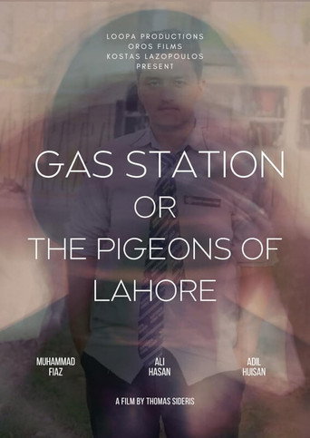 Movie poster for The Pigeons of Lahore (2024)