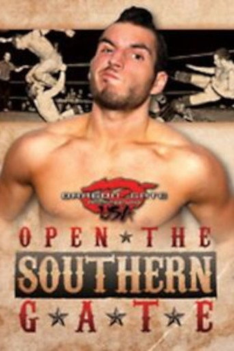 Movie poster for Dragon Gate USA Open The Southern Gate (2011)