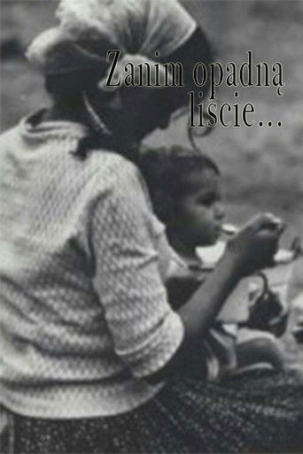 Before the Leaves Fall... poster